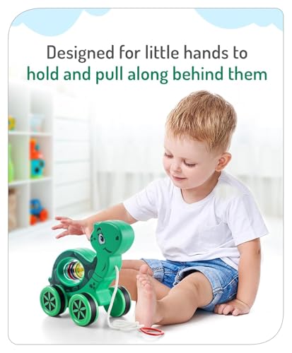 Mini Steps Pull Along Turtle