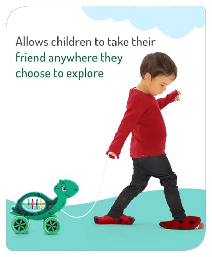 Mini Steps Pull Along Turtle