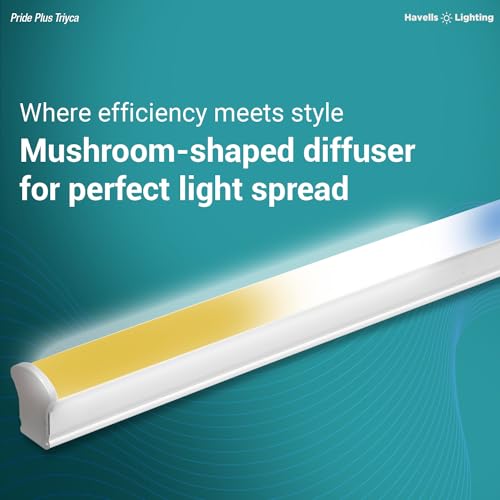 Havells 20W 3 in 1