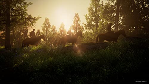 Sony The Last Of Us : Part 1 | PS5 Game - Image 4