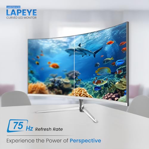 LAPCARE Lapeye 32 Inch Curved