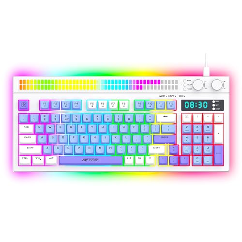 Ant Esports MK1900 RGB Wired