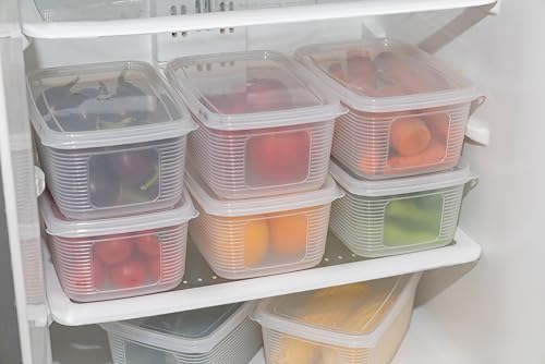 Clazkit Fruit Storage Containers