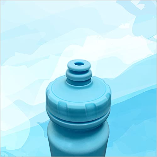 Beetle Sports Bottle, 550 ml