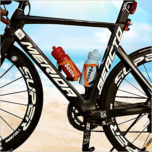 Beetle Sports Bottle, 550 ml