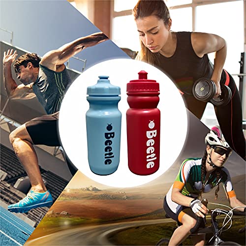 Beetle Sports Bottle, 550 ml