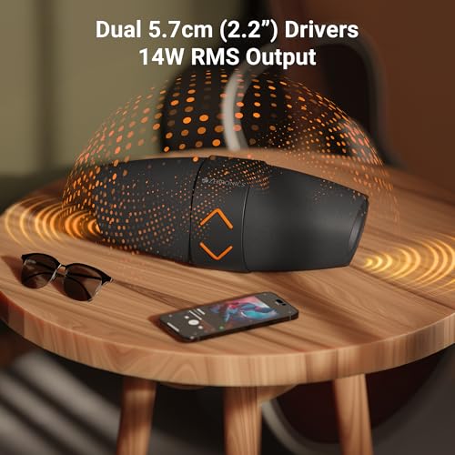 ZEBRONICS Sound Feast 55, Portable