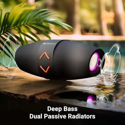 ZEBRONICS Sound Feast 55, Portable