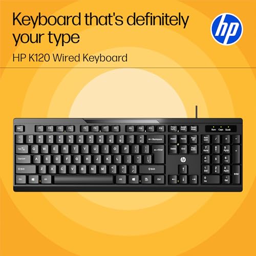 HP K120 Wired Keyboard/3 Years RTB Warranty - Image 2