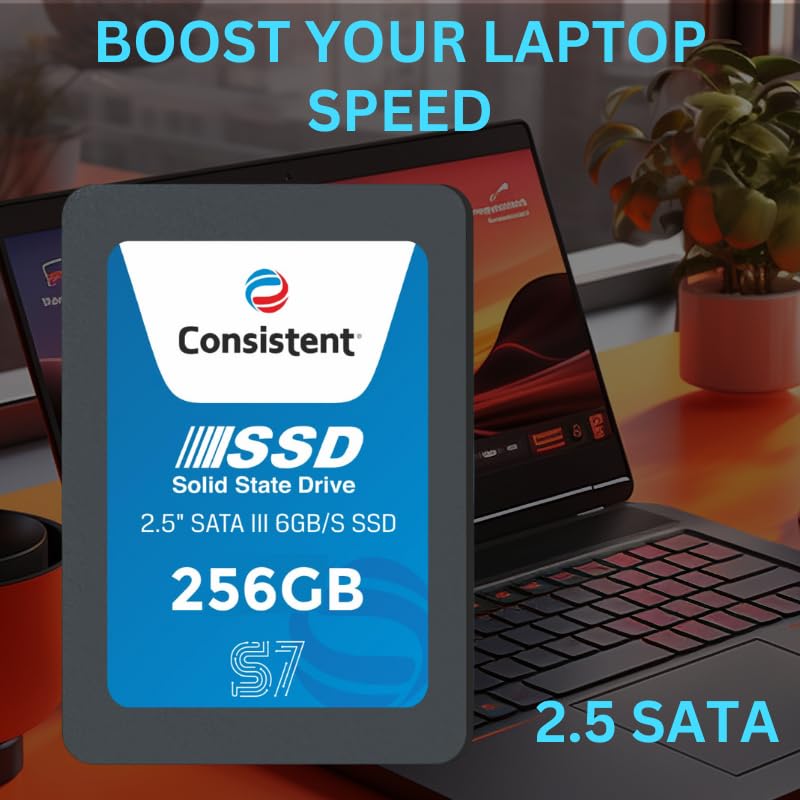 Consistent SSD 256GB 2.5 Inch