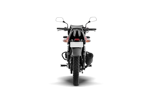 Bajaj Pulsar 125 Neon Disc