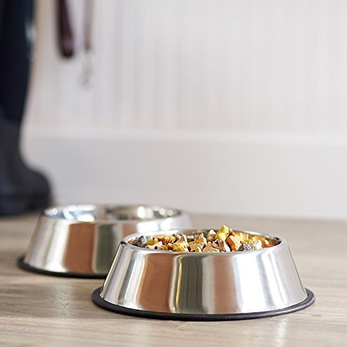 Pets Empire Stainless Steel Feeding