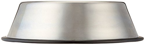 Pets Empire Stainless Steel Feeding