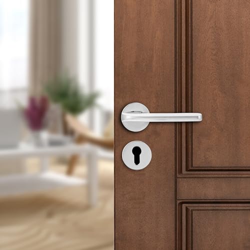 amazon basics Door Handle