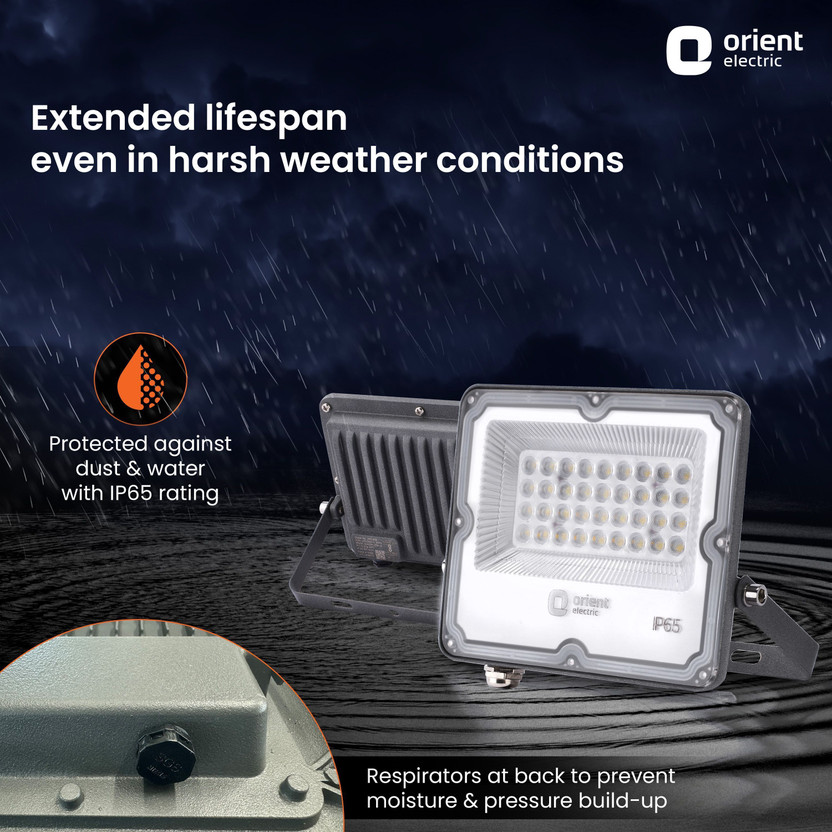 Orient Electric Razor Plus 100W