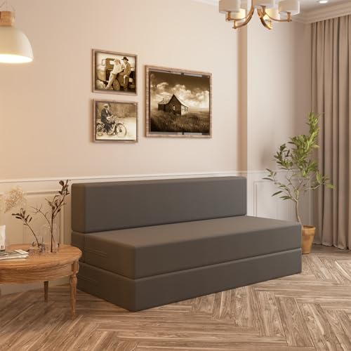 Wakeup India ComfortCraft Sofa Cum