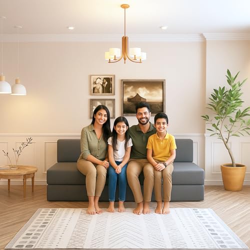 Wakeup India ComfortCraft Sofa Cum