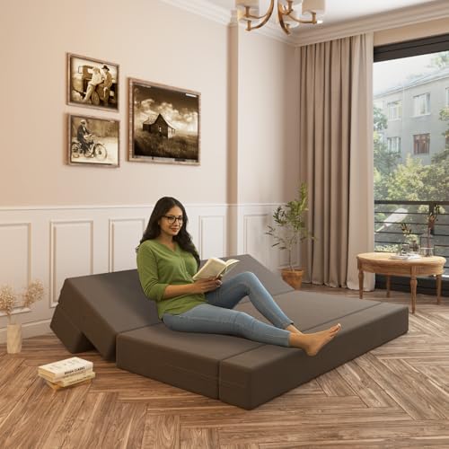 Wakeup India ComfortCraft Sofa Cum