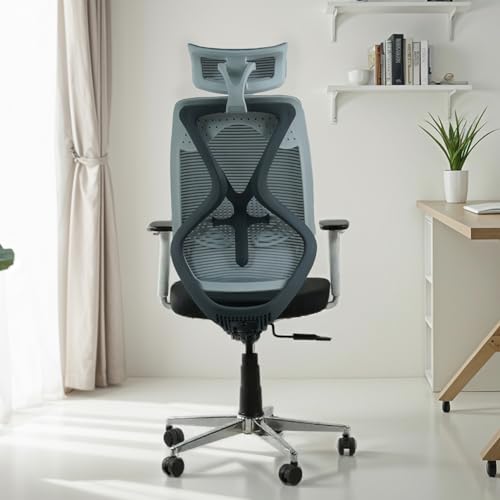 Wooden Street Pictor Ergonomic Office