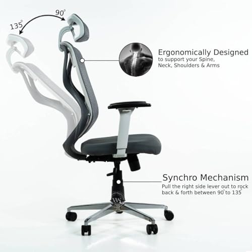 Wooden Street Pictor Ergonomic Office