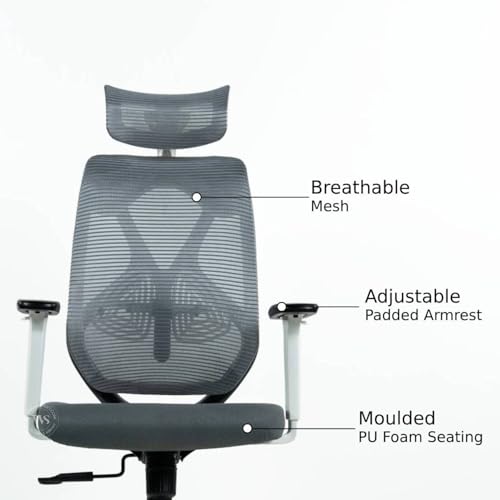 Wooden Street Pictor Ergonomic Office