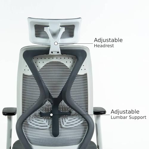 Wooden Street Pictor Ergonomic Office