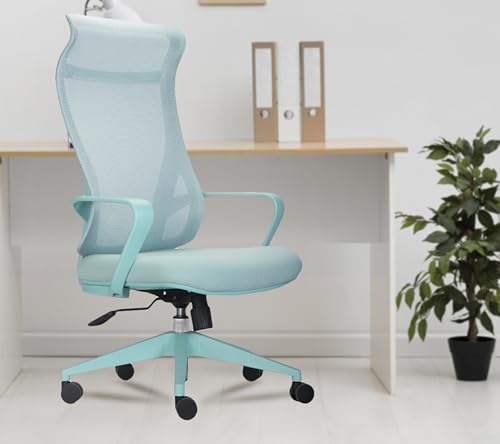 INNOWIN Flamingo High-Back Ergonomic Home