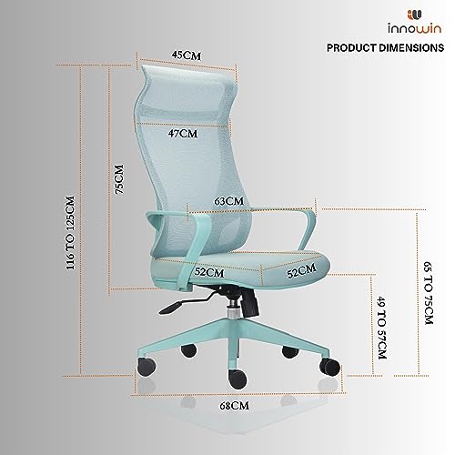 INNOWIN Flamingo High-Back Ergonomic Home