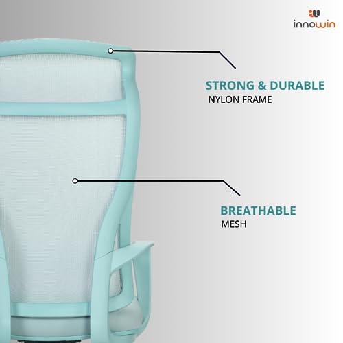 INNOWIN Flamingo High-Back Ergonomic Home