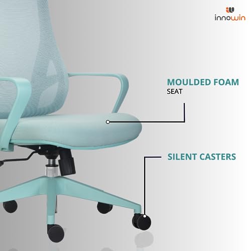 INNOWIN Flamingo High-Back Ergonomic Home