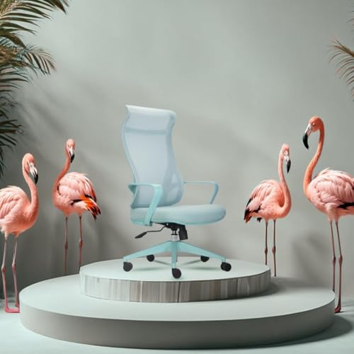 INNOWIN Flamingo High-Back Ergonomic Home