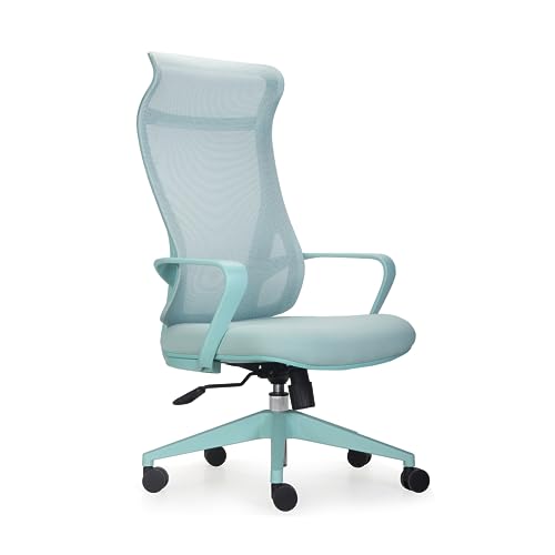 INNOWIN Flamingo High-Back Ergonomic Home
