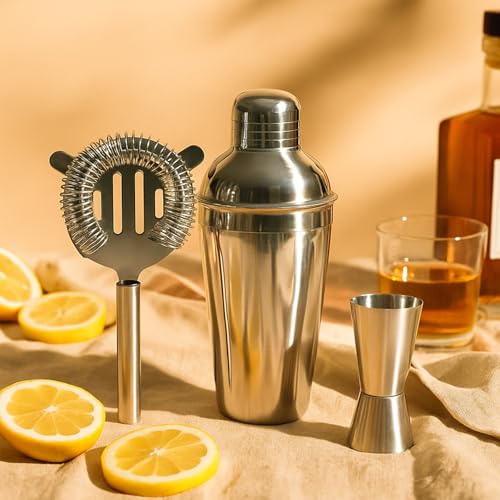 Stainless Steel Cocktail Shaker Set