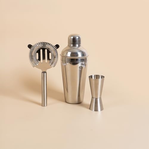 Stainless Steel Cocktail Shaker Set
