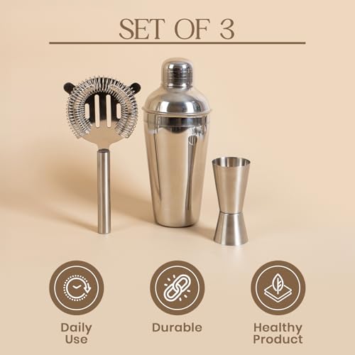 Stainless Steel Cocktail Shaker Set