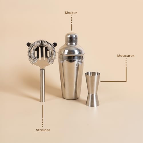 Stainless Steel Cocktail Shaker Set