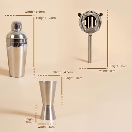Stainless Steel Cocktail Shaker Set
