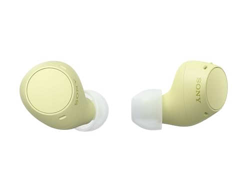 Sony WF-C510 Wireless Bluetooth Earbuds