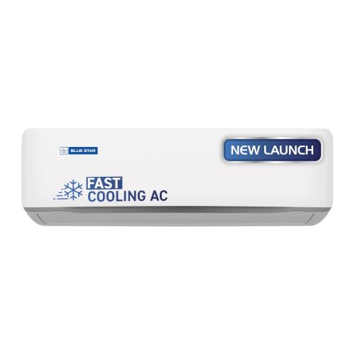 Blue Star 1 Ton 3