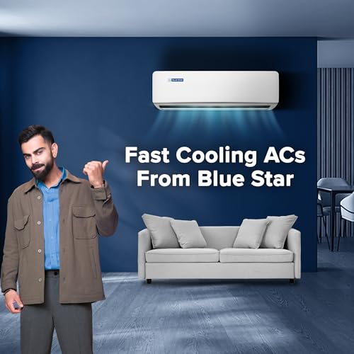 Blue Star 1 Ton 3