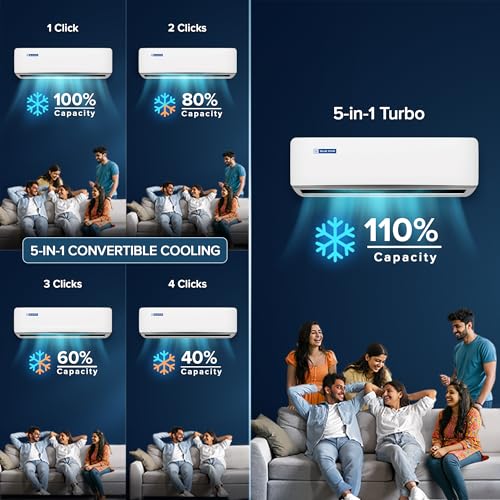 Blue Star 1 Ton 3