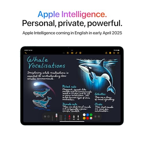 Apple iPad Air 11″