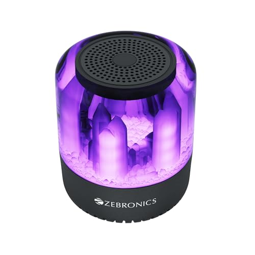 ZEBRONICS Dawn 10 Wireless Portable