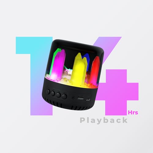 ZEBRONICS Dawn 10 Wireless Portable