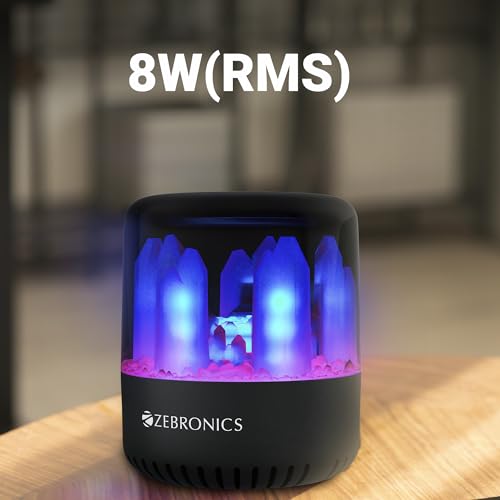 ZEBRONICS Dawn 10 Wireless Portable