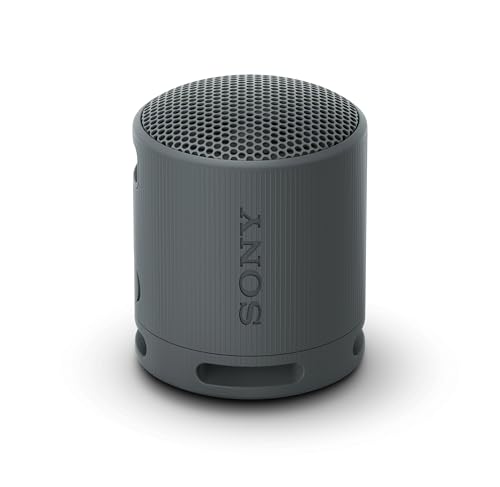 Sony SRS-XB100 Wireless Bluetooth Portable