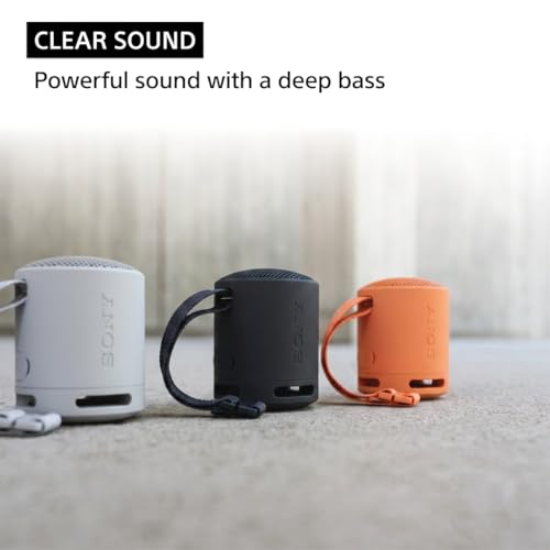 Sony SRS-XB100 Wireless Bluetooth Portable