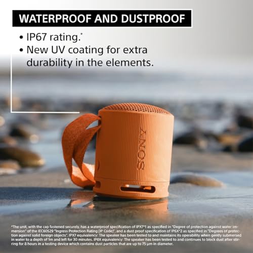 Sony SRS-XB100 Wireless Bluetooth Portable