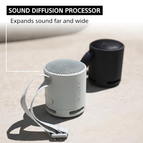 Sony SRS-XB100 Wireless Bluetooth Portable