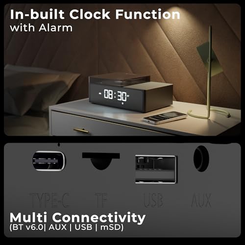 Zebronics 10W Portable Bluetooth v6.0